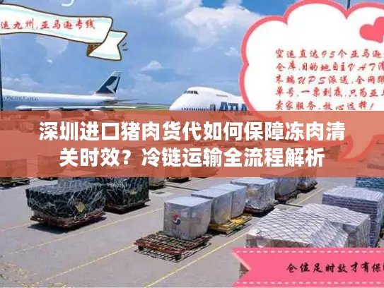 深圳进口猪肉货代如何保障冻肉清关时效？冷链运输全流程解析