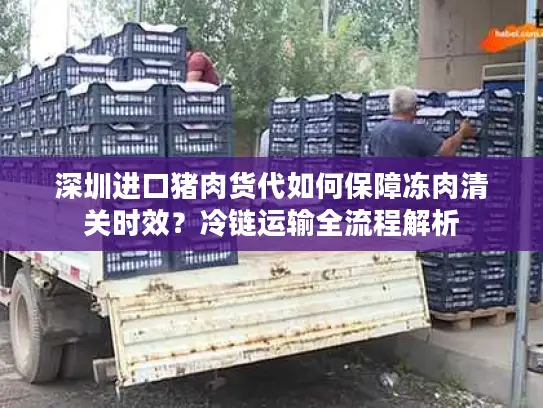 深圳进口猪肉货代如何保障冻肉清关时效？冷链运输全流程解析