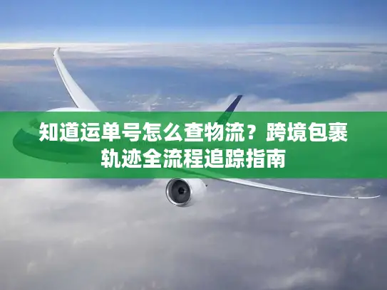 知道运单号怎么查物流？跨境包裹轨迹全流程追踪指南