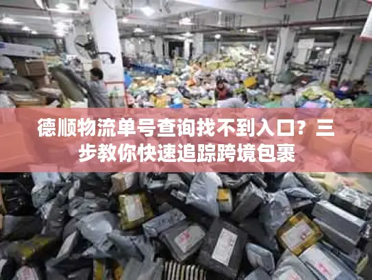 德顺物流单号查询找不到入口？三步教你快速追踪跨境包裹
