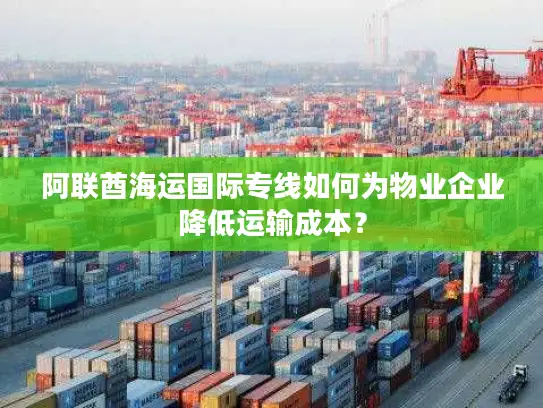 阿联酋海运国际专线如何为物业企业降低运输成本？