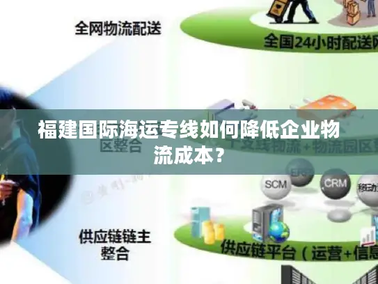 福建国际海运专线如何降低企业物流成本？