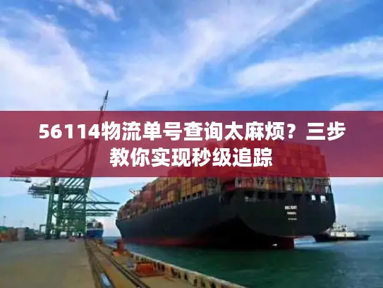56114物流单号查询太麻烦？三步教你实现秒级追踪