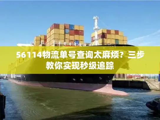 56114物流单号查询太麻烦？三步教你实现秒级追踪