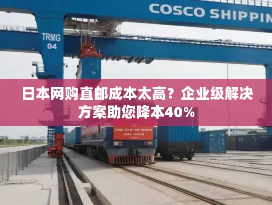 日本网购直邮成本太高？企业级解决方案助您降本40%