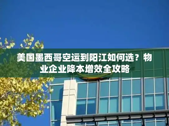 美国墨西哥空运到阳江如何选？物业企业降本增效全攻略