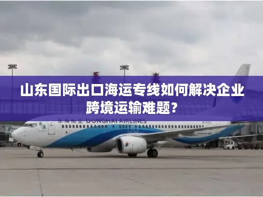 山东国际出口海运专线如何解决企业跨境运输难题？
