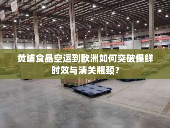 黄埔食品空运到欧洲如何突破保鲜时效与清关瓶颈？