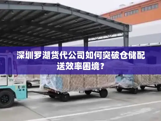 深圳罗湖货代公司如何突破仓储配送效率困境？