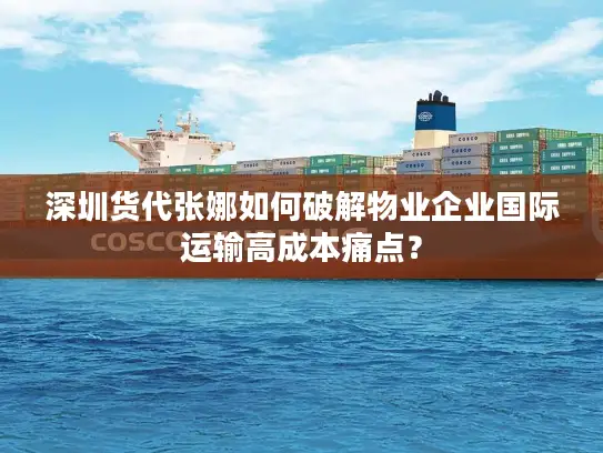 深圳货代张娜如何破解物业企业国际运输高成本痛点？