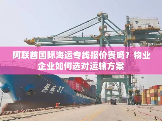 阿联酋国际海运专线报价贵吗？物业企业如何选对运输方案