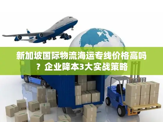 新加坡国际物流海运专线价格高吗？企业降本3大实战策略
