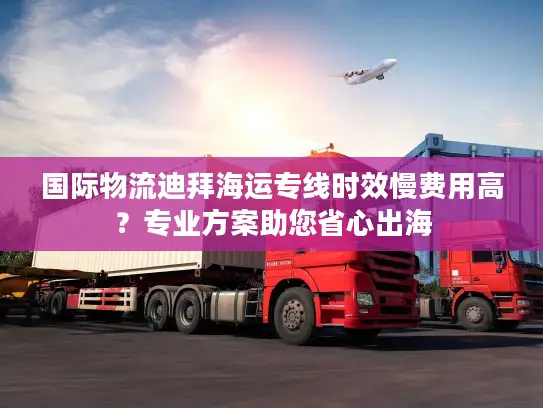 国际物流迪拜海运专线时效慢费用高？专业方案助您省心出海