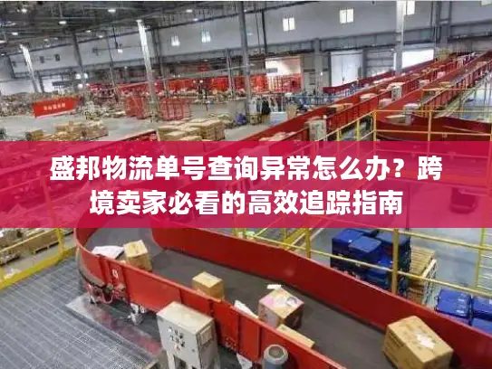 盛邦物流单号查询异常怎么办？跨境卖家必看的高效追踪指南