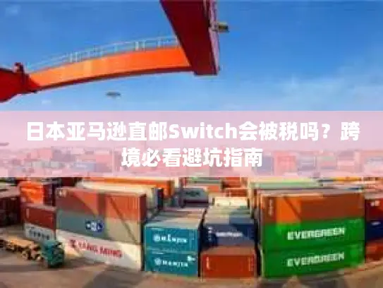 日本亚马逊直邮Switch会被税吗？跨境必看避坑指南