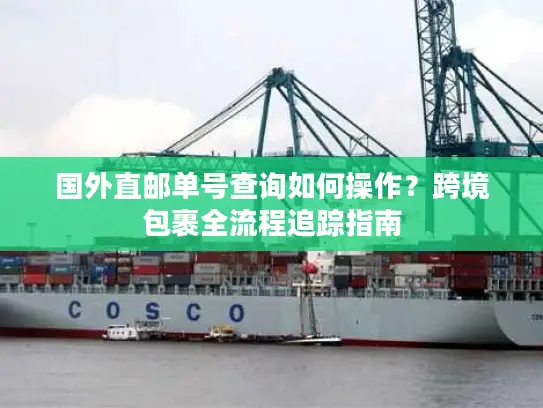 国外直邮单号查询如何操作？跨境包裹全流程追踪指南