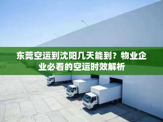东莞空运到沈阳几天能到？物业企业必看的空运时效解析