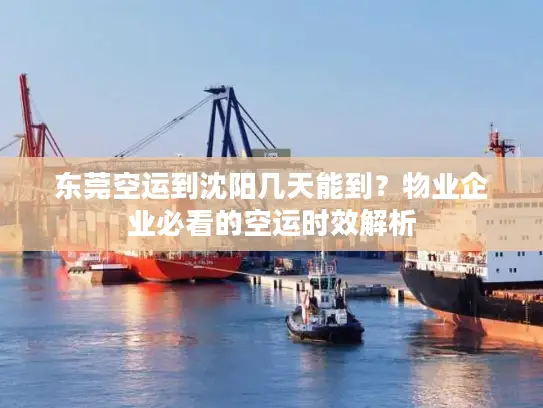 东莞空运到沈阳几天能到？物业企业必看的空运时效解析