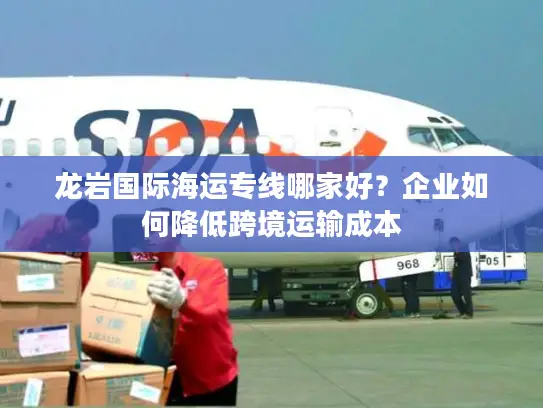 龙岩国际海运专线哪家好？企业如何降低跨境运输成本