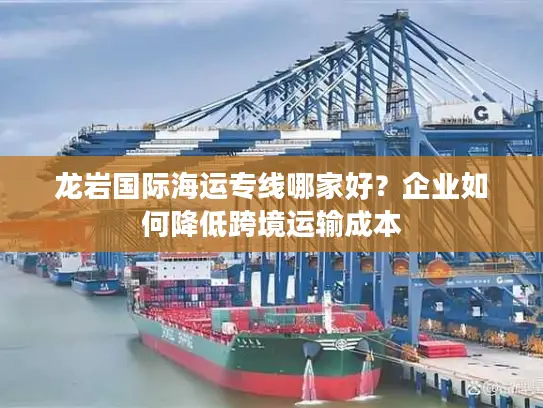 龙岩国际海运专线哪家好？企业如何降低跨境运输成本