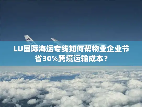 LU国际海运专线如何帮物业企业节省30%跨境运输成本？