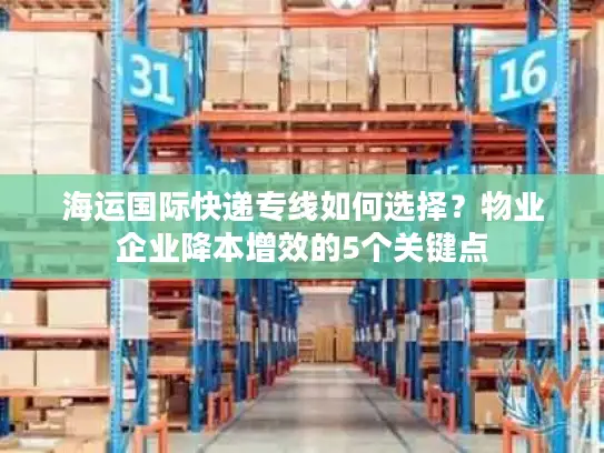 海运国际快递专线如何选择？物业企业降本增效的5个关键点