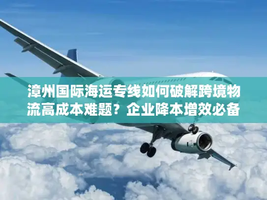 漳州国际海运专线如何破解跨境物流高成本难题？企业降本增效必备指南