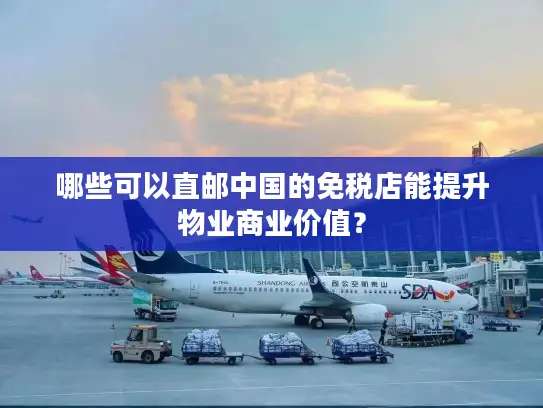 哪些可以直邮中国的免税店能提升物业商业价值？