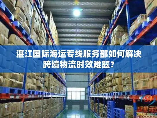 湛江国际海运专线服务部如何解决跨境物流时效难题？