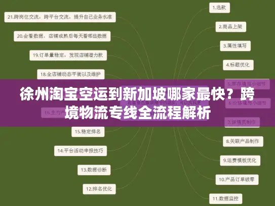 徐州淘宝空运到新加坡哪家最快？跨境物流专线全流程解析