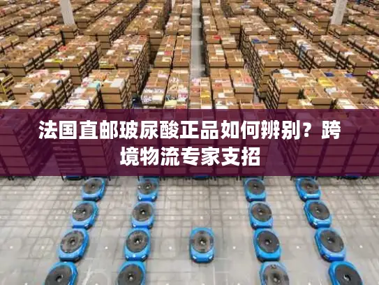 法国直邮玻尿酸正品如何辨别？跨境物流专家支招