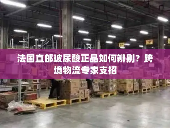 法国直邮玻尿酸正品如何辨别？跨境物流专家支招