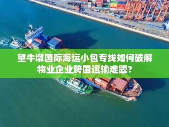 望牛墩国际海运小包专线如何破解物业企业跨国运输难题？