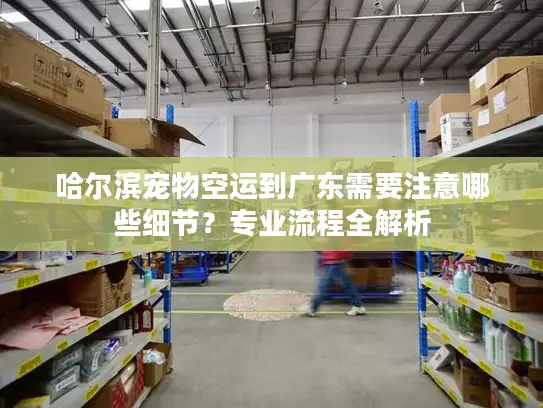 哈尔滨宠物空运到广东需要注意哪些细节？专业流程全解析