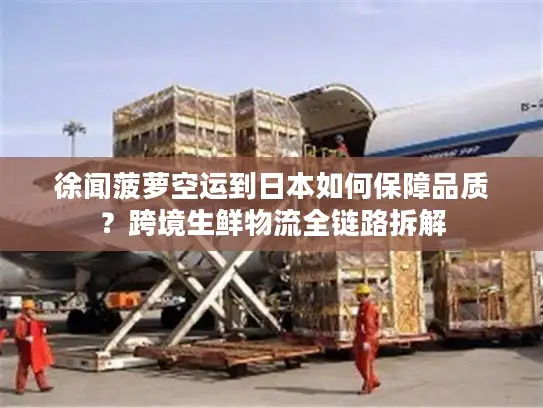 徐闻菠萝空运到日本如何保障品质？跨境生鲜物流全链路拆解