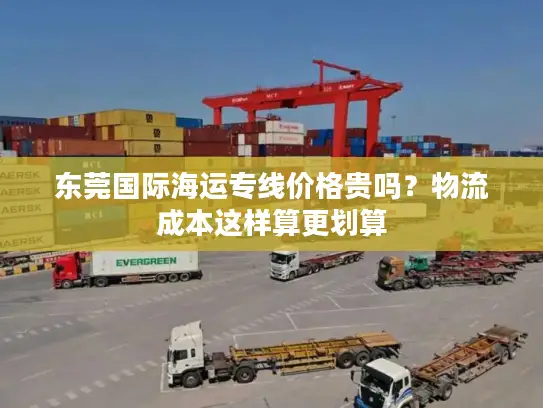 东莞国际海运专线价格贵吗？物流成本这样算更划算