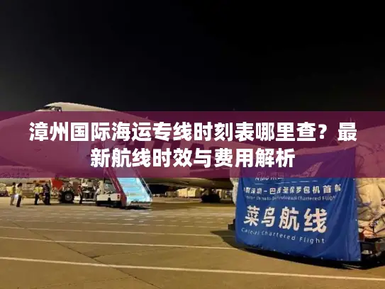 漳州国际海运专线时刻表哪里查？最新航线时效与费用解析