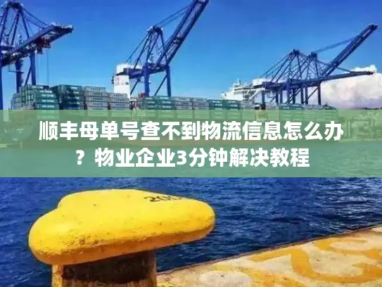 顺丰母单号查不到物流信息怎么办？物业企业3分钟解决教程