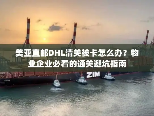美亚直邮DHL清关被卡怎么办？物业企业必看的通关避坑指南