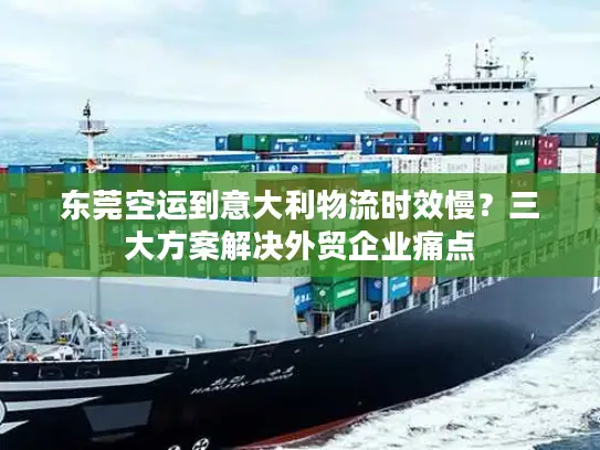 东莞空运到意大利物流时效慢？三大方案解决外贸企业痛点