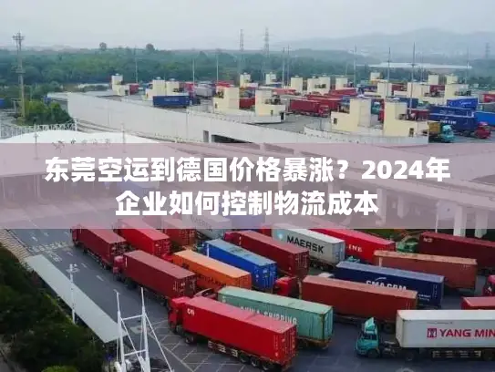 东莞空运到德国价格暴涨？2024年企业如何控制物流成本