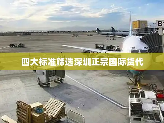 四大标准筛选深圳正宗国际货代