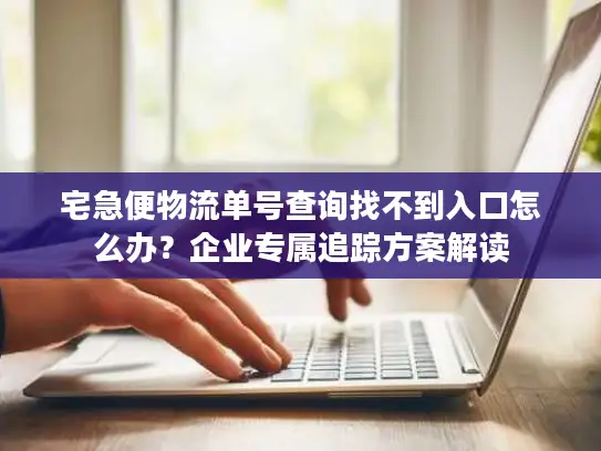 宅急便物流单号查询找不到入口怎么办？企业专属追踪方案解读