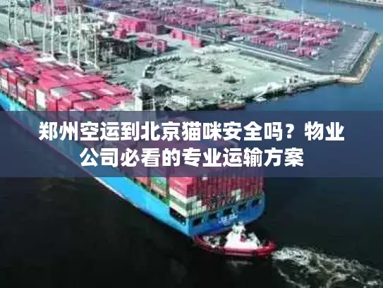 郑州空运到北京猫咪安全吗？物业公司必看的专业运输方案