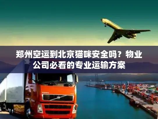 郑州空运到北京猫咪安全吗？物业公司必看的专业运输方案
