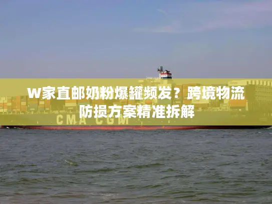 W家直邮奶粉爆罐频发？跨境物流防损方案精准拆解