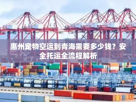 惠州宠物空运到青海需要多少钱？安全托运全流程解析