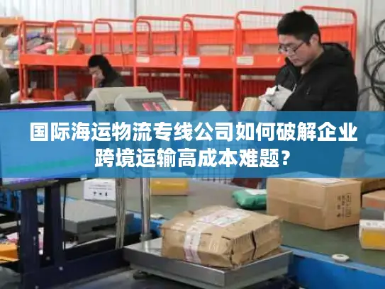 国际海运物流专线公司如何破解企业跨境运输高成本难题？