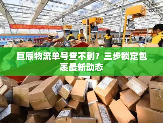 巨辰物流单号查不到？三步锁定包裹最新动态