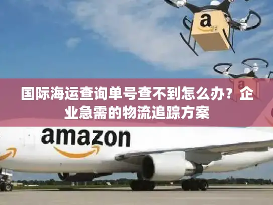 国际海运查询单号查不到怎么办？企业急需的物流追踪方案